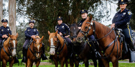 SFPD Mounted Patrol Unit